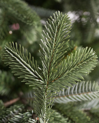 Sapins de Noël artificiels communs