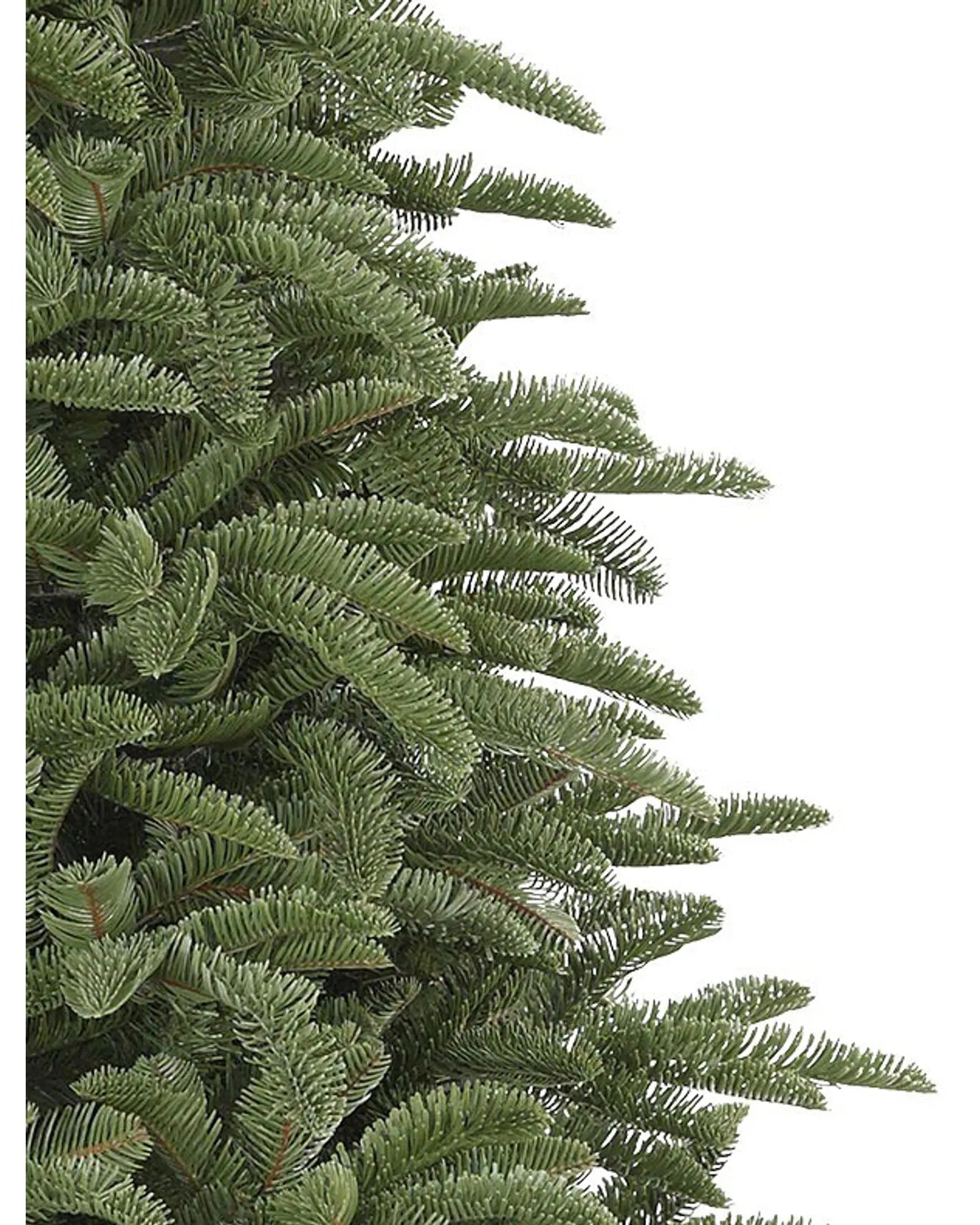 Sapin de Noël Nobilis